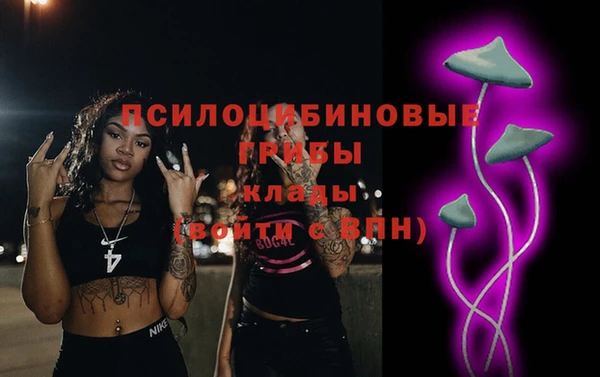 ПСИЛОЦИБИНОВЫЕ ГРИБЫ Наволоки