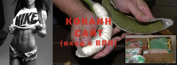 ПСИЛОЦИБИНОВЫЕ ГРИБЫ Наволоки