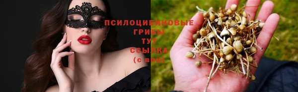 мяу мяу мука Навашино