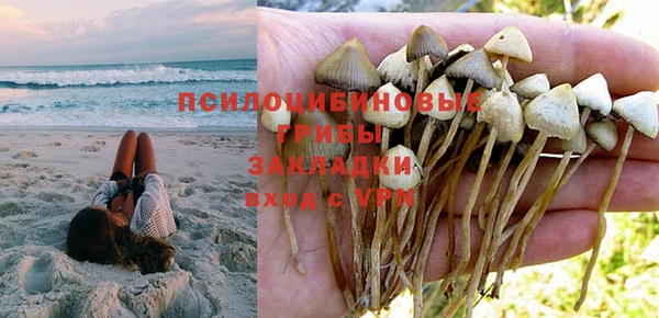 ПСИЛОЦИБИНОВЫЕ ГРИБЫ Наволоки