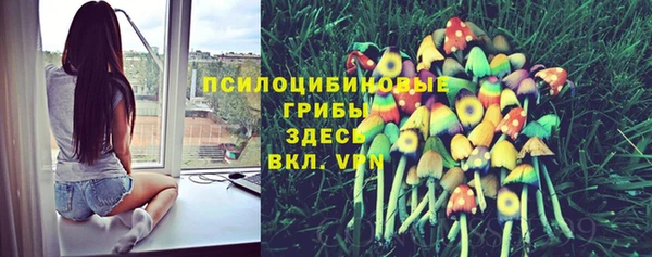 ПСИЛОЦИБИНОВЫЕ ГРИБЫ Наволоки