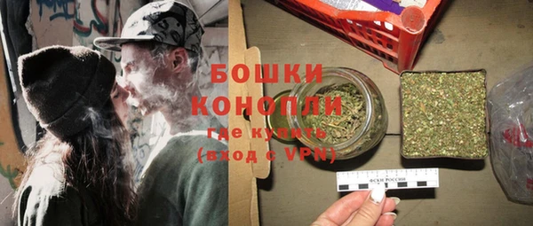 ПСИЛОЦИБИНОВЫЕ ГРИБЫ Наволоки